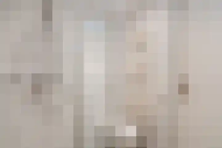Fluitekruid 6 Valkenburg thumbnail 35