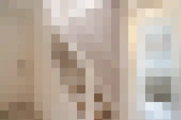 Fluitekruid 6 Valkenburg thumbnail 37