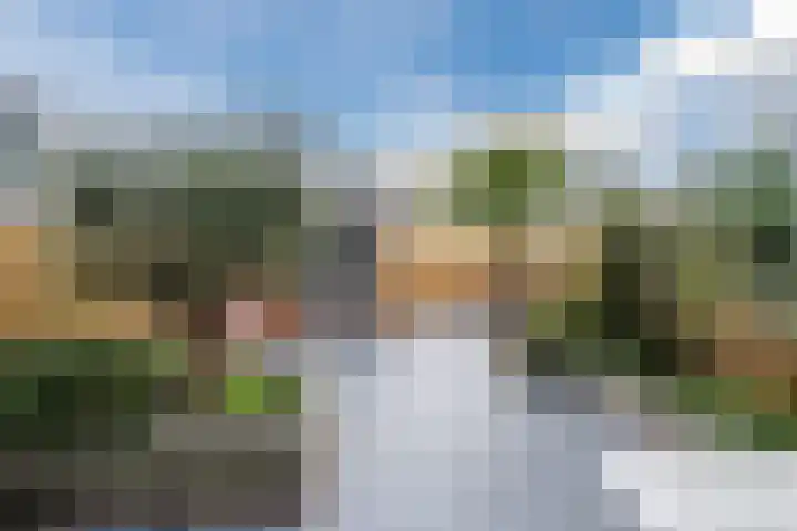 Fluitekruid 6 Valkenburg thumbnail 48