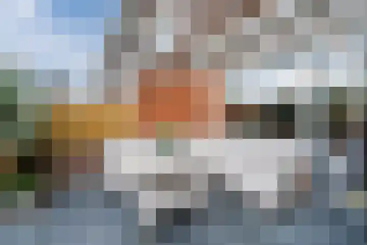 Fluitekruid 6 Valkenburg thumbnail 49