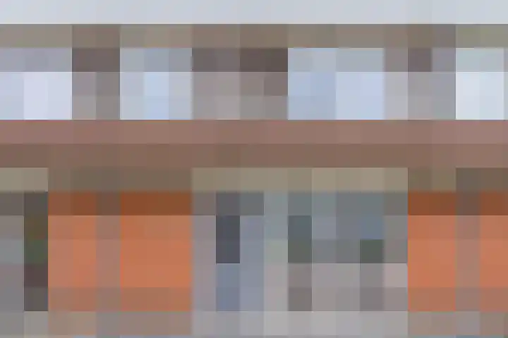 Fluitekruid 6 Valkenburg thumbnail 5