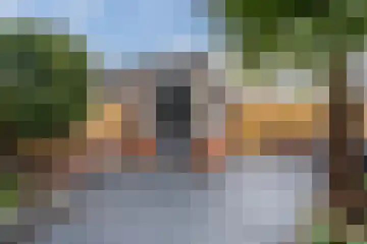 Fluitekruid 6 Valkenburg thumbnail 50