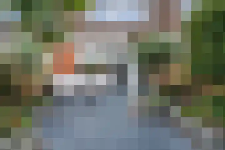 Fluitekruid 6 Valkenburg thumbnail 51