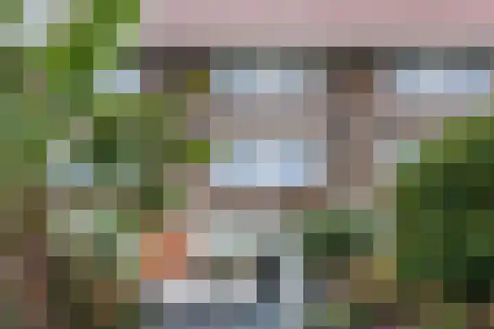 Fluitekruid 6 Valkenburg thumbnail 52