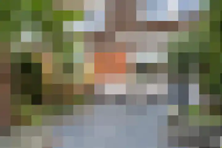 Fluitekruid 6 Valkenburg thumbnail 54