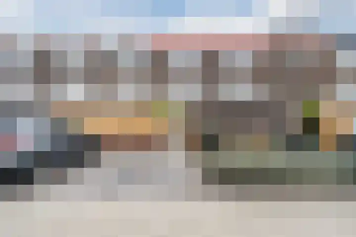 Fluitekruid 6 Valkenburg thumbnail 55