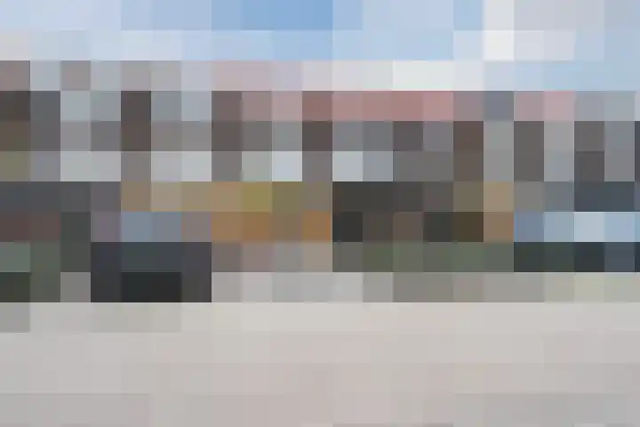 Fluitekruid 6 Valkenburg thumbnail 57