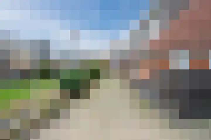 Fluitekruid 6 Valkenburg thumbnail 58