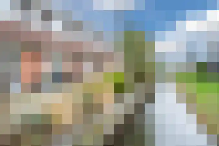 Fluitekruid 6 Valkenburg thumbnail 59