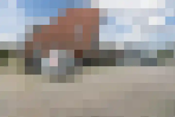 Fluitekruid 6 Valkenburg thumbnail 60