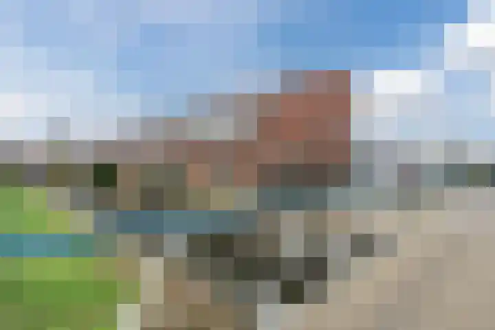 Fluitekruid 6 Valkenburg thumbnail 61