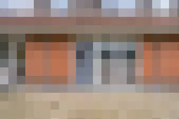 Fluitekruid 6 Valkenburg thumbnail 63