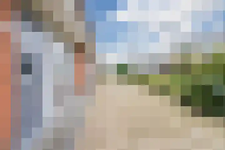 Fluitekruid 6 Valkenburg thumbnail 7