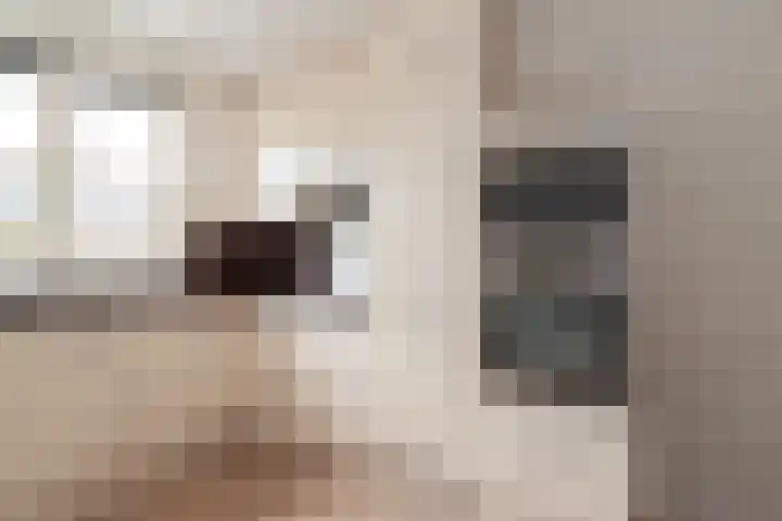 Fluitekruid 69 Rijssen thumbnail 12
