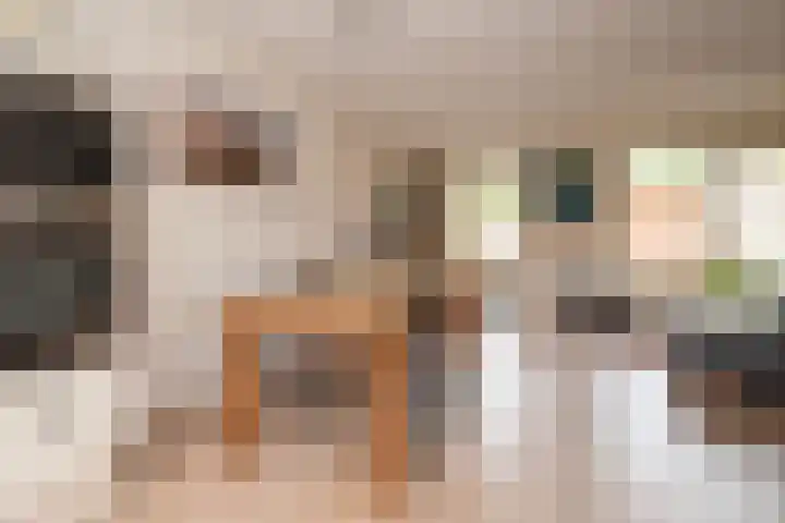 Fluitekruid 69 Rijssen thumbnail 13