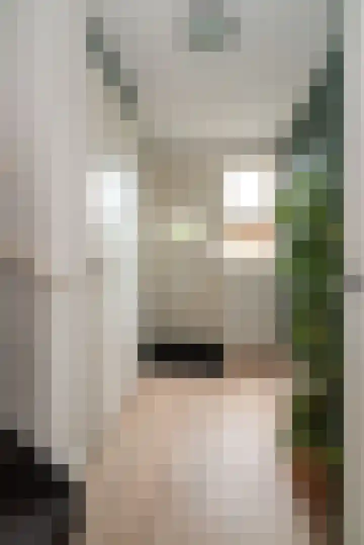 Fluitekruid 69 Rijssen thumbnail 15