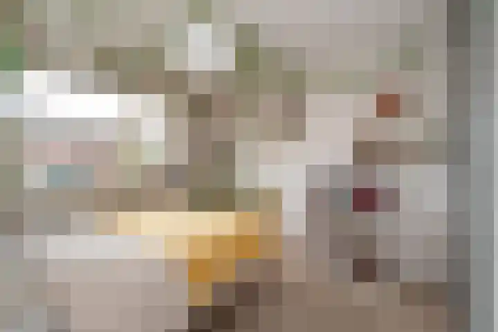 Fluitekruid 69 Rijssen thumbnail 17
