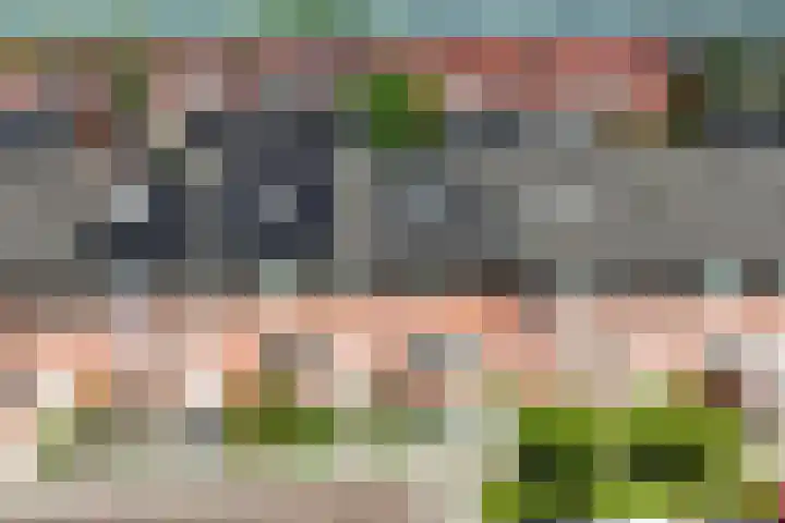 Fluitekruid 69 Rijssen foto 2