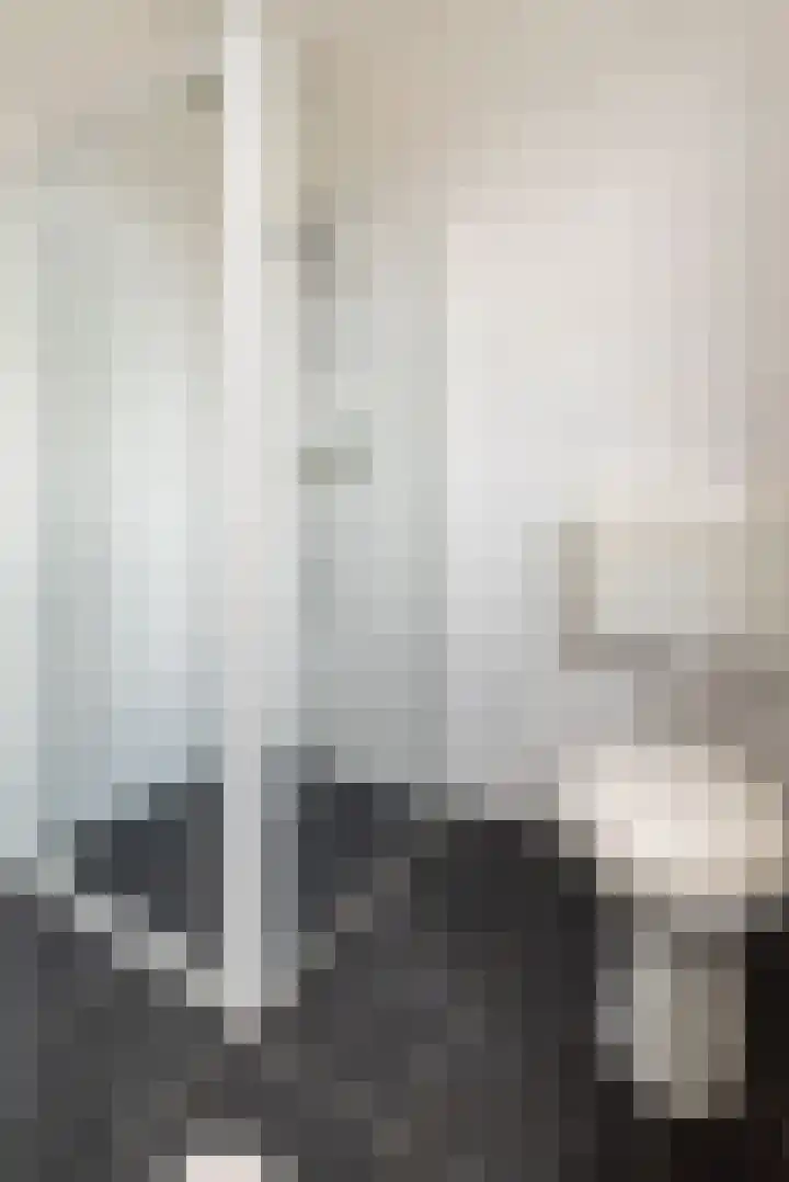 Fluitekruid 69 Rijssen thumbnail 22