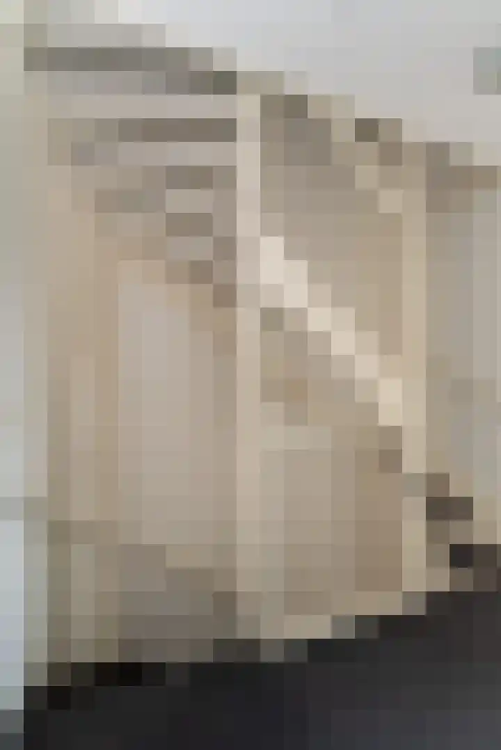 Fluitekruid 69 Rijssen thumbnail 23