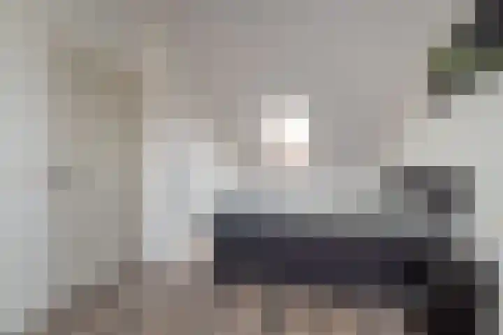 Fluitekruid 69 Rijssen thumbnail 24