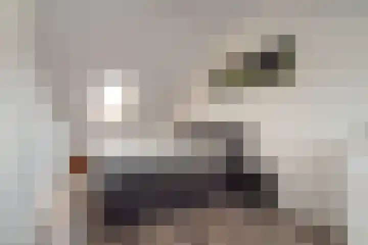 Fluitekruid 69 Rijssen thumbnail 25