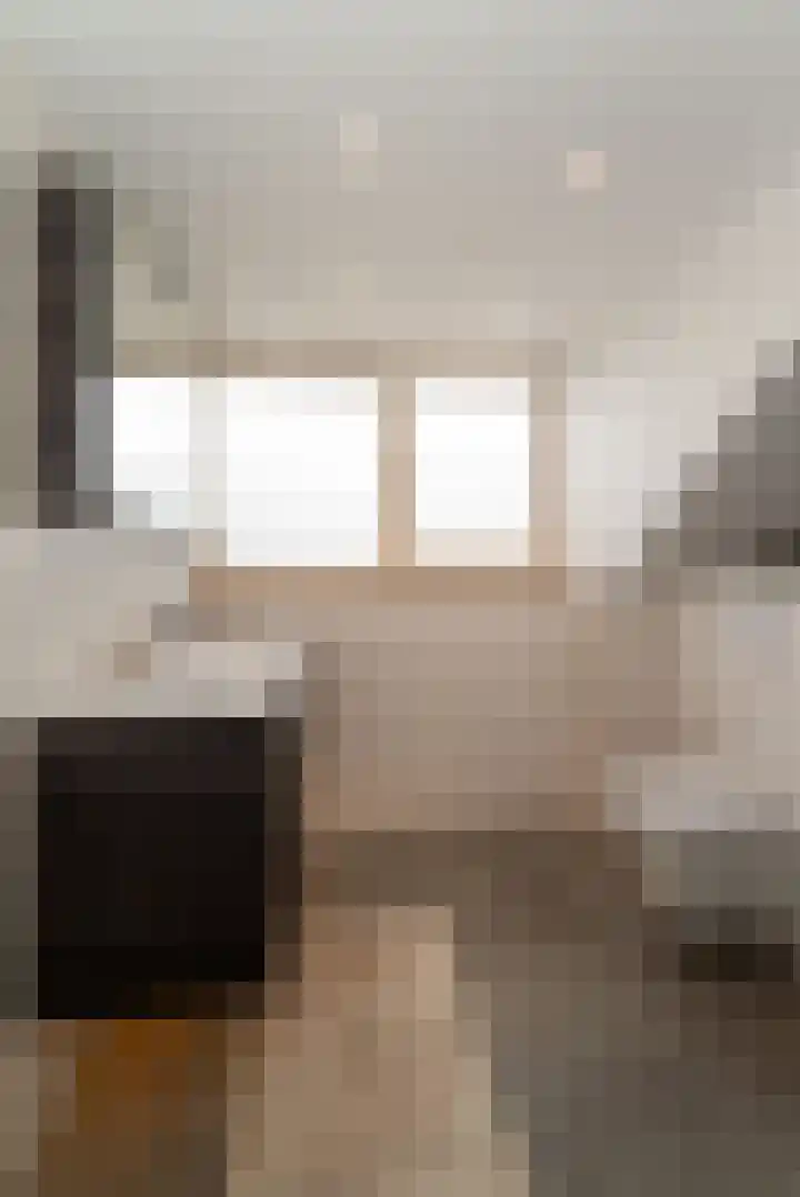 Fluitekruid 69 Rijssen thumbnail 27