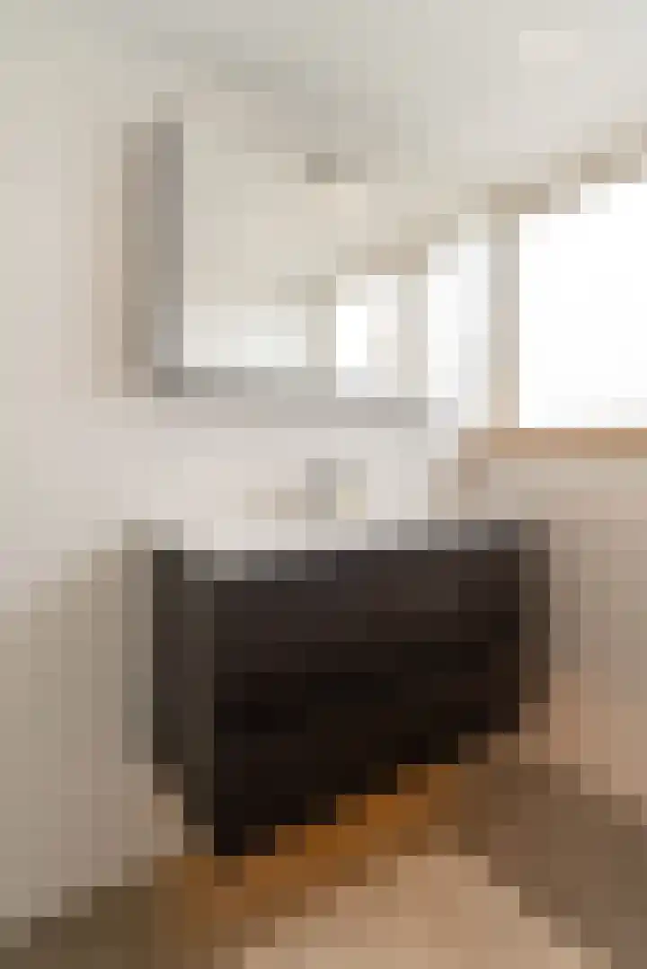 Fluitekruid 69 Rijssen thumbnail 28