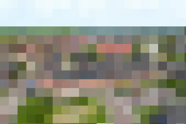 Fluitekruid 69 Rijssen foto 3