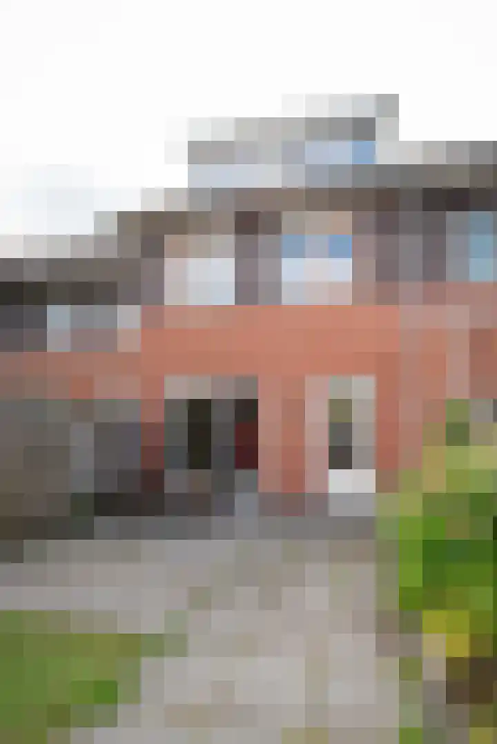 Fluitekruid 69 Rijssen thumbnail 31