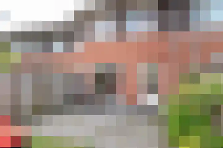 Fluitekruid 69 Rijssen thumbnail 32