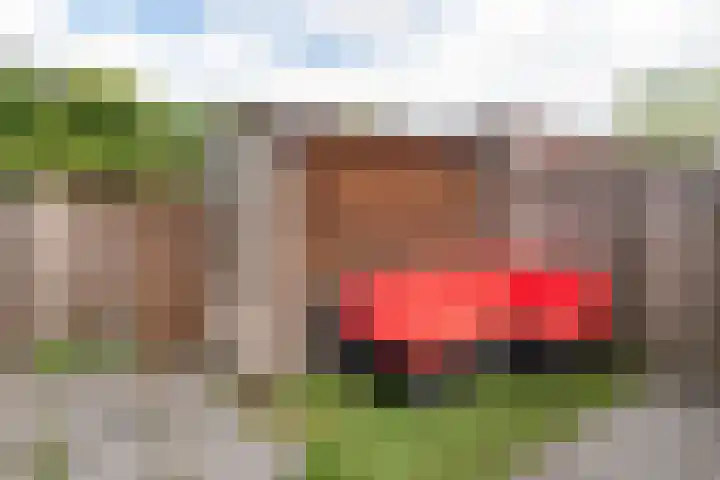 Fluitekruid 69 Rijssen thumbnail 34