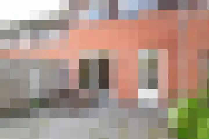 Fluitekruid 69 Rijssen thumbnail 36