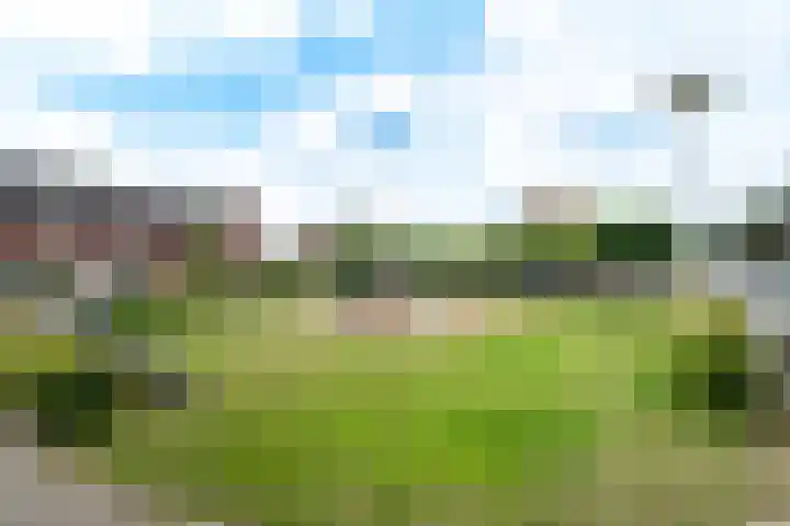 Fluitekruid 69 Rijssen thumbnail 37