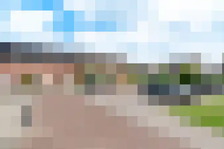 Fluitekruid 69 Rijssen thumbnail 38