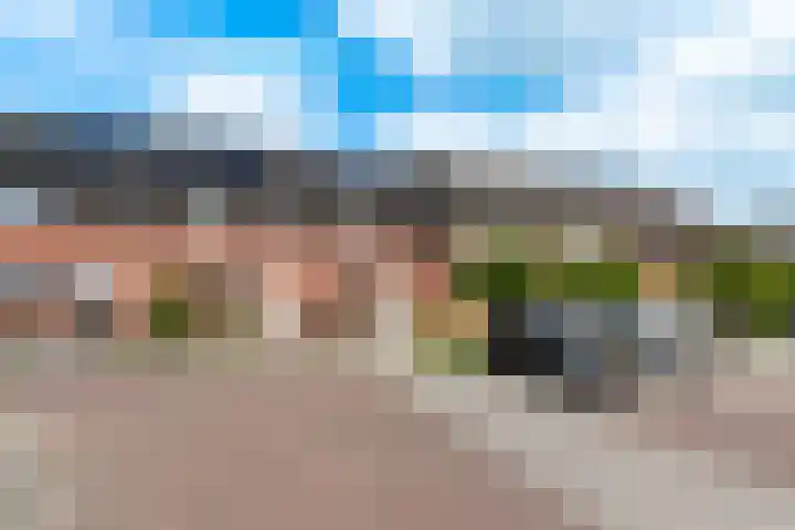 Fluitekruid 69 Rijssen thumbnail 39