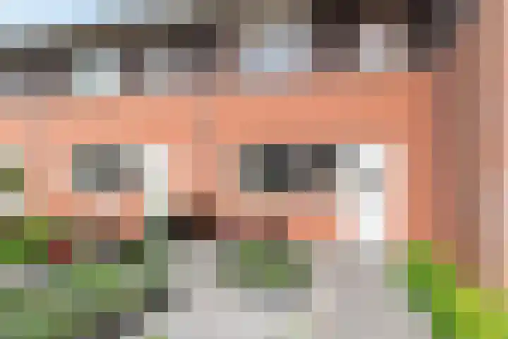 Fluitekruid 69 Rijssen thumbnail 4