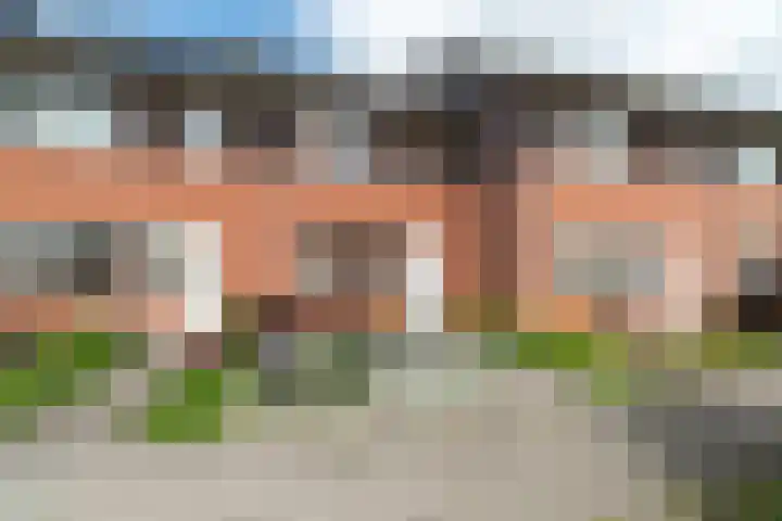 Fluitekruid 69 Rijssen thumbnail 40