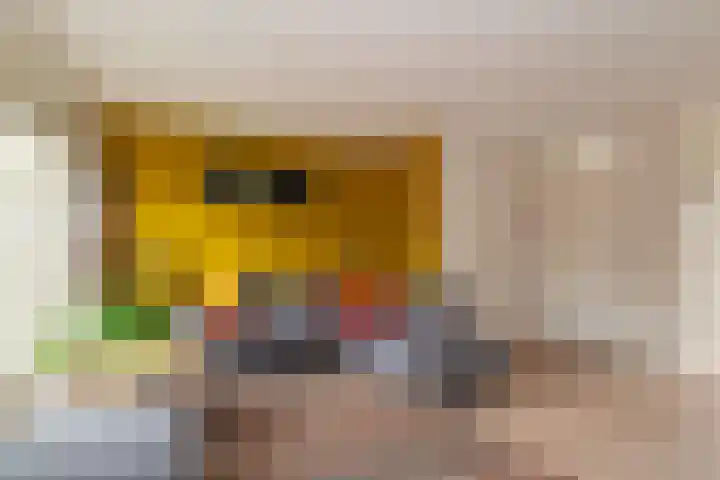 Fluitekruid 69 Rijssen thumbnail 7