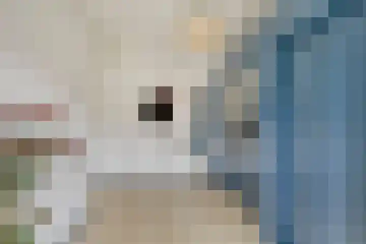 Fluitekruid 7 Abcoude thumbnail 14