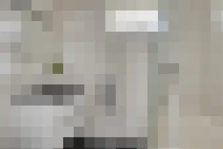 Fluitekruid 7 Abcoude thumbnail 15