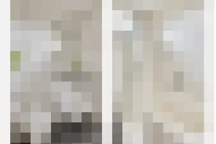 Fluitekruid 7 Abcoude thumbnail 16