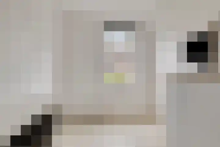 Fluitekruid 7 Abcoude thumbnail 18