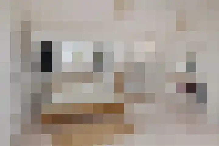 Fluitekruid 7 Abcoude thumbnail 19