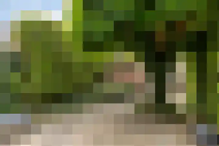 Fluitekruid 7 Abcoude thumbnail 21