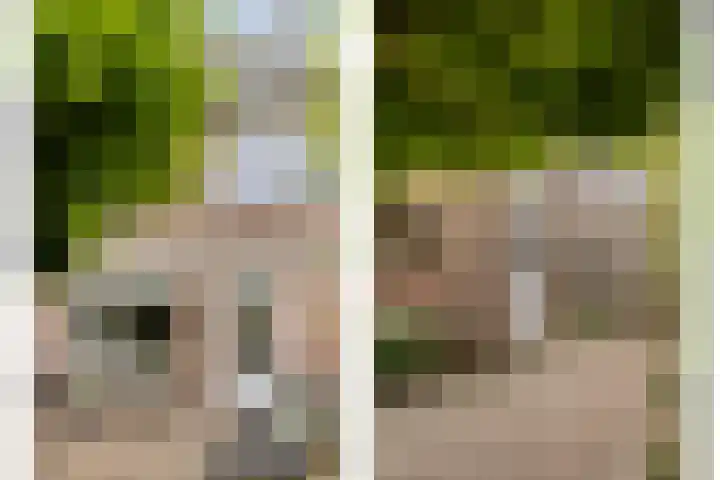 Fluitekruid 7 Abcoude thumbnail 24