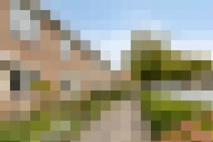 Fluitekruid 7 Abcoude thumbnail 25
