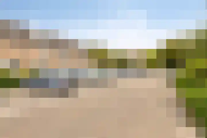 Fluitekruid 7 Abcoude thumbnail 26