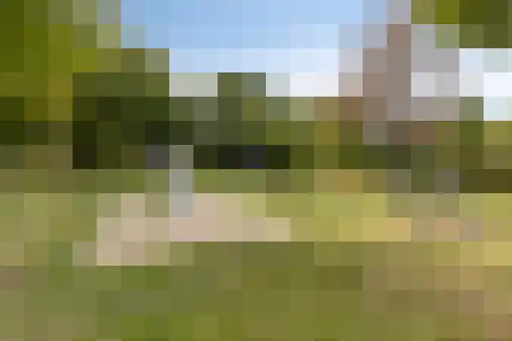 Fluitekruid 7 Abcoude thumbnail 27