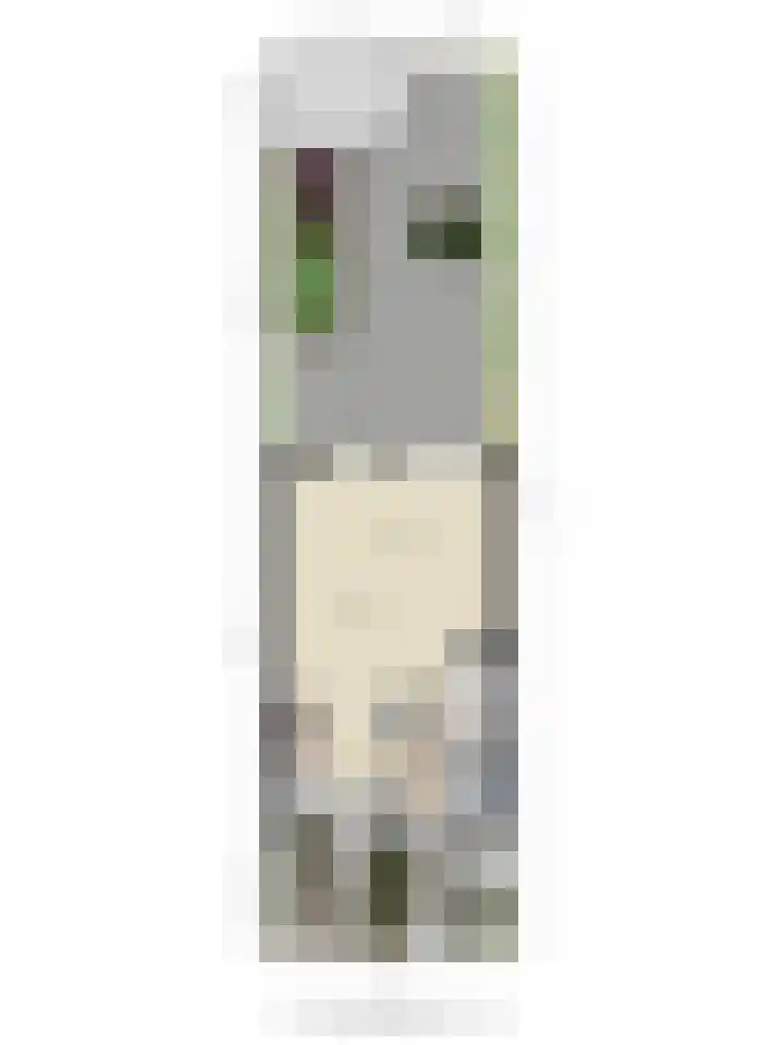 Fluitekruid 7 Abcoude thumbnail 28